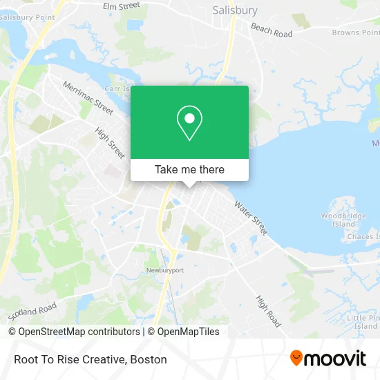 Root To Rise Creative map