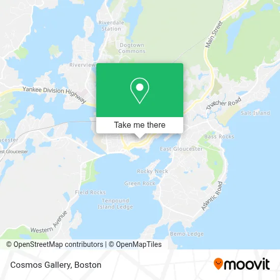 Cosmos Gallery map