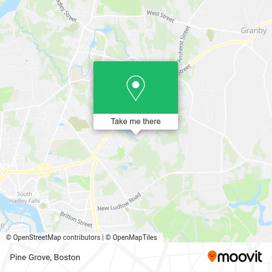 Pine Grove map