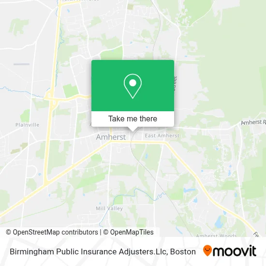 Birmingham Public Insurance Adjusters.Llc map