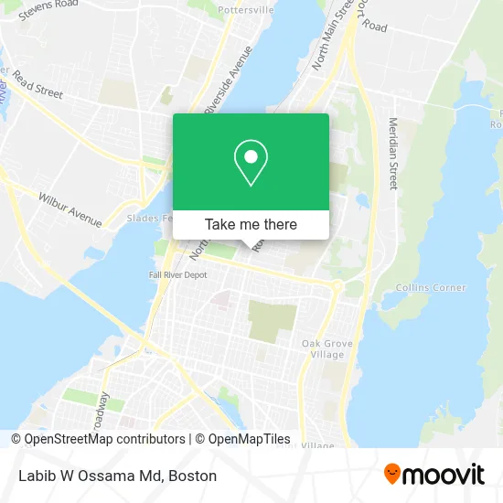 Labib W Ossama Md map