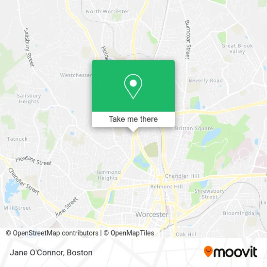 Jane O'Connor map