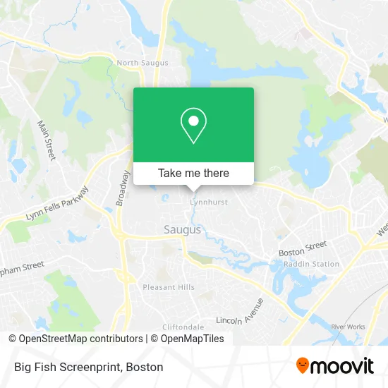Big Fish Screenprint map