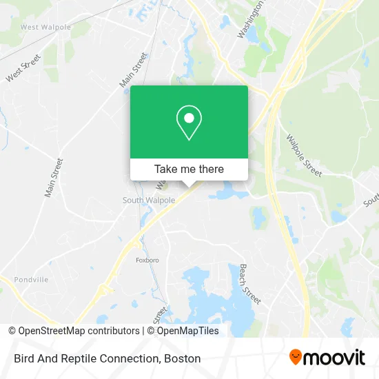 Bird And Reptile Connection map