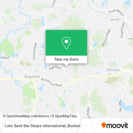 Lets Save the Strays International map