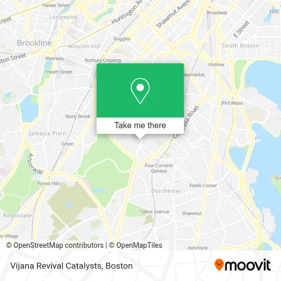 Vijana Revival Catalysts map