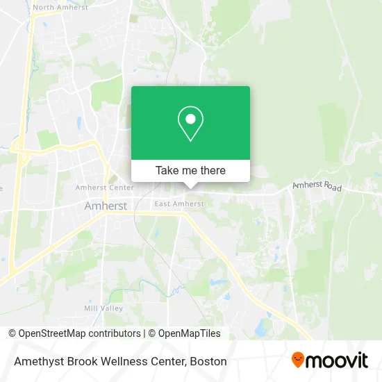 Amethyst Brook Wellness Center map