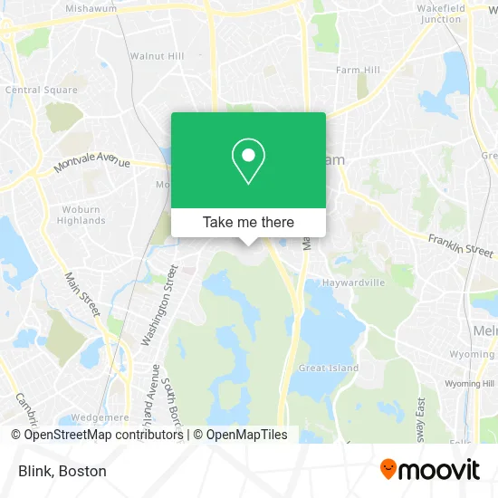 Blink map