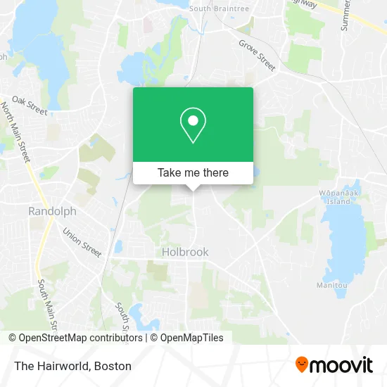 The Hairworld map