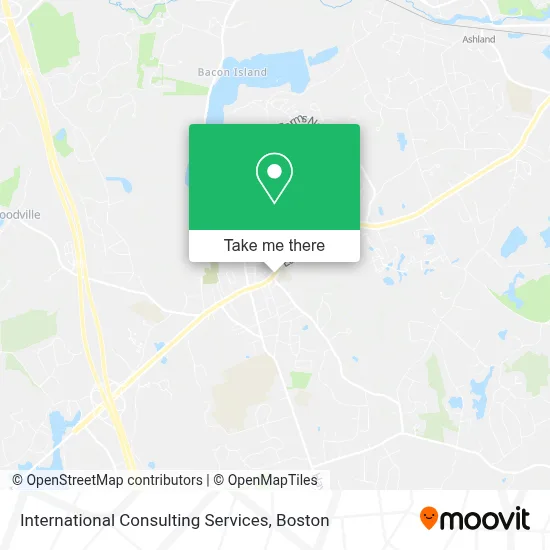 International Consulting Services map
