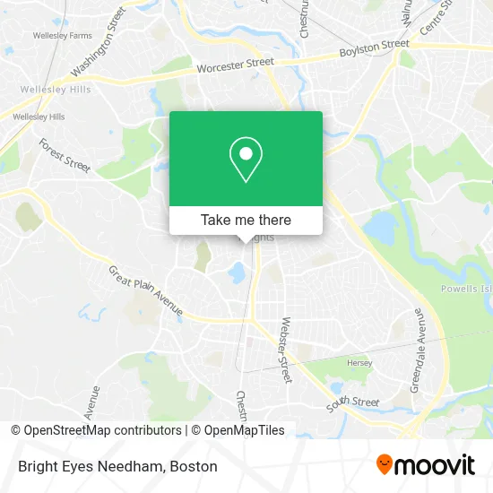 Bright Eyes Needham map