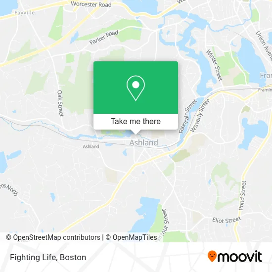 Fighting Life map