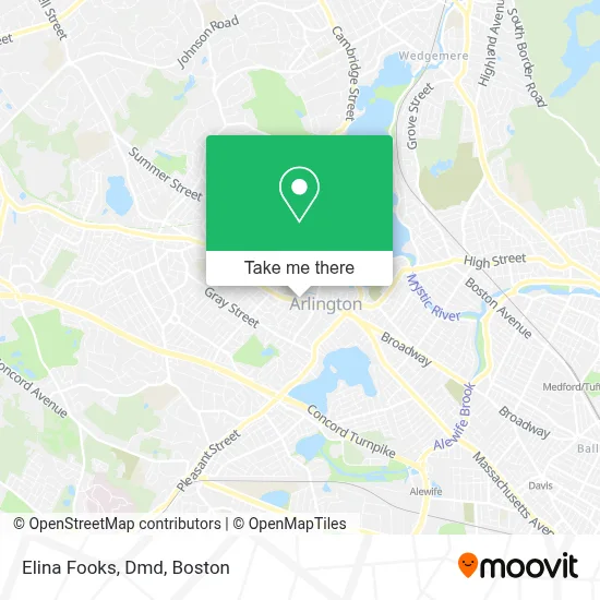Elina Fooks, Dmd map