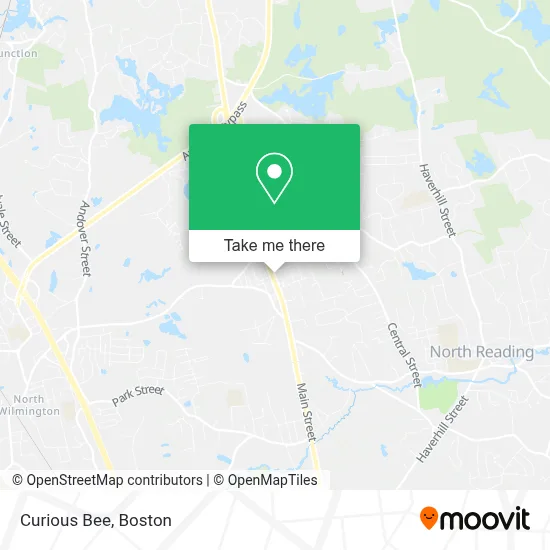 Curious Bee map