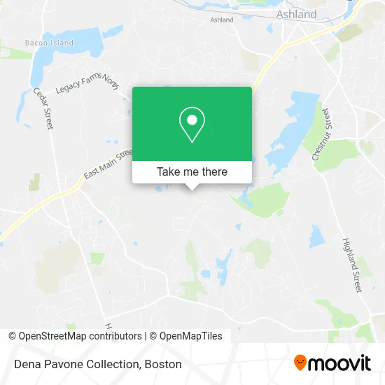 Dena Pavone Collection map