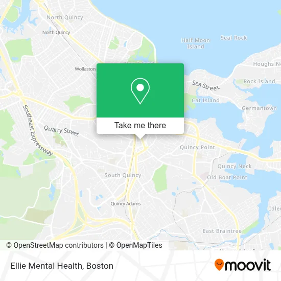Ellie Mental Health map
