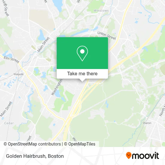 Golden Hairbrush map