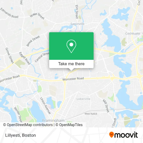Lillyesti map