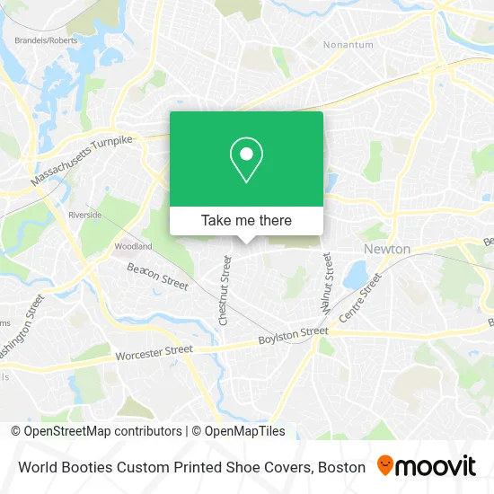 World Booties Custom Printed Shoe Covers map
