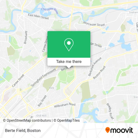 Berte Field map