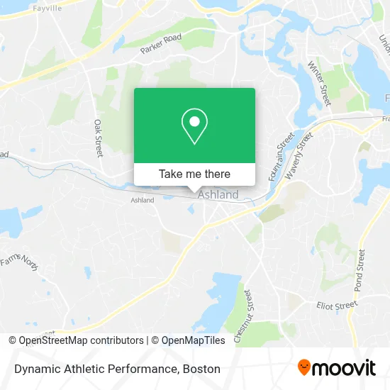 Dynamic Athletic Performance map