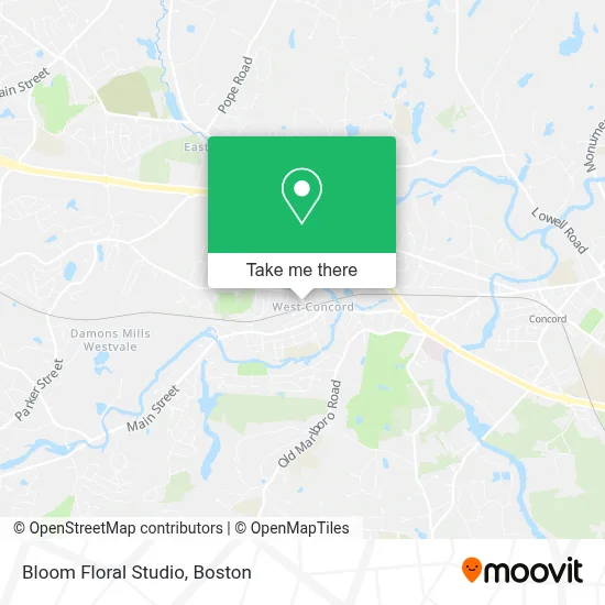 Bloom Floral Studio map