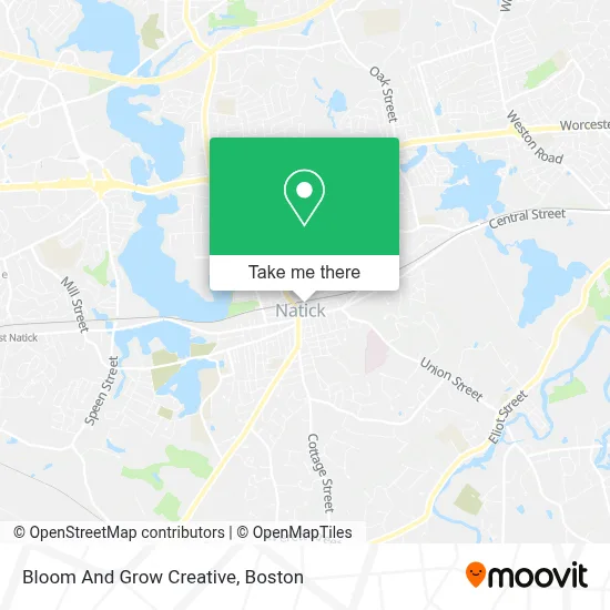 Bloom And Grow Creative map