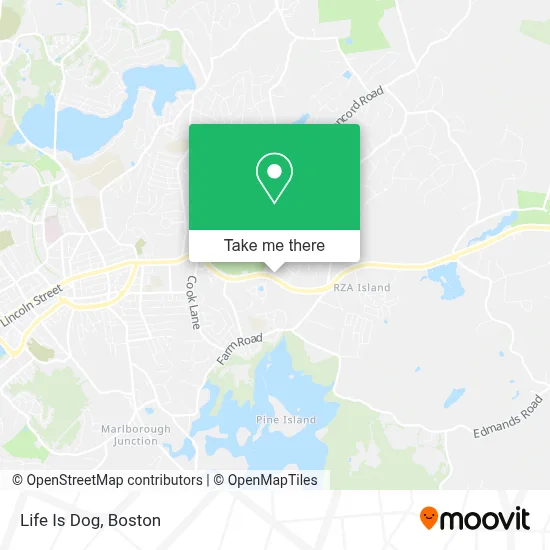 Life Is Dog map