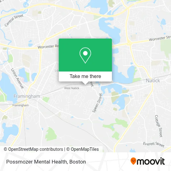 Possmozer Mental Health map