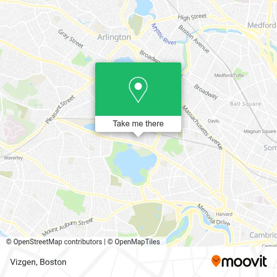 Vizgen map