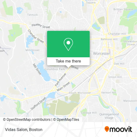 Vidas Salon map