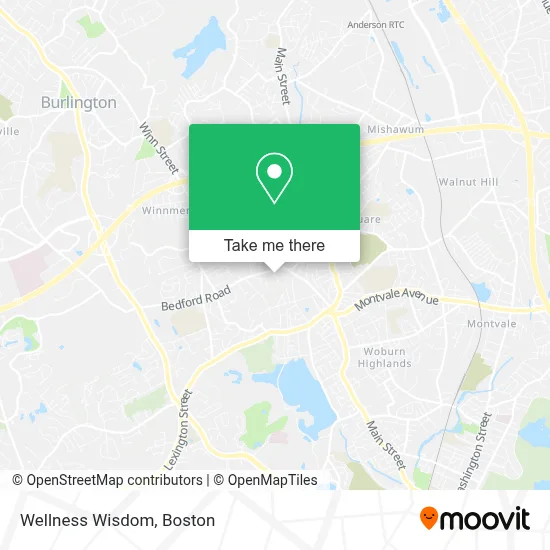 Wellness Wisdom map