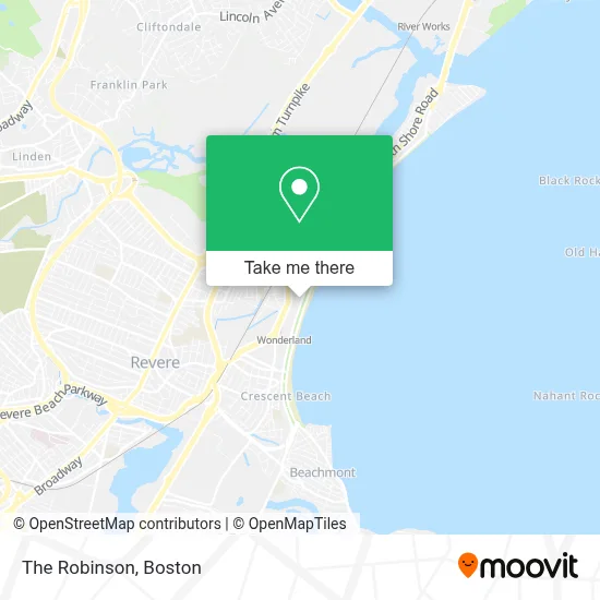 The Robinson map