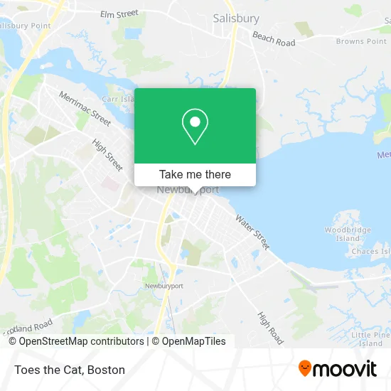 Toes the Cat map