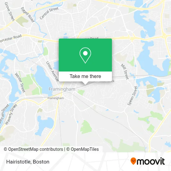 Hairistotle map