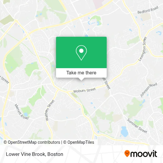 Lower Vine Brook map