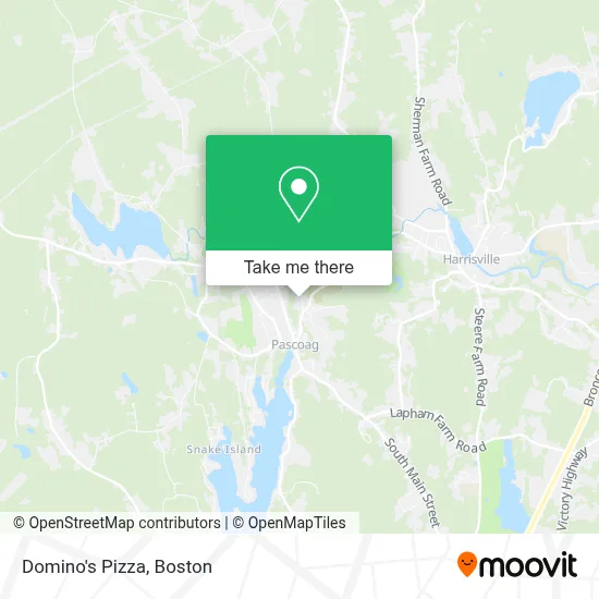 Domino's Pizza map