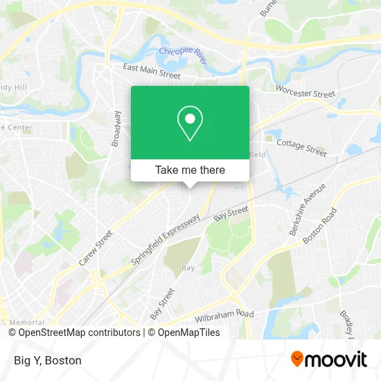 Big Y map