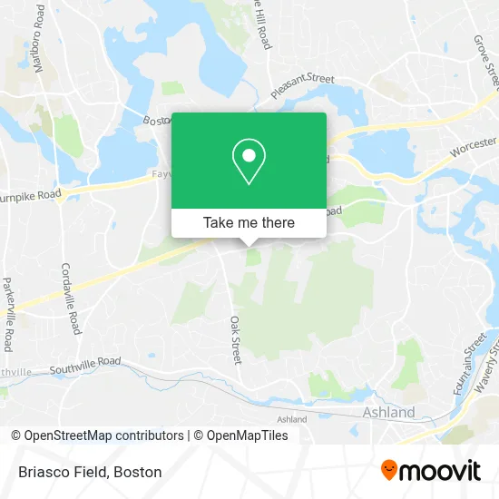 Briasco Field map