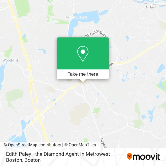 Edith Paley - the Diamond Agent In Metrowest Boston map