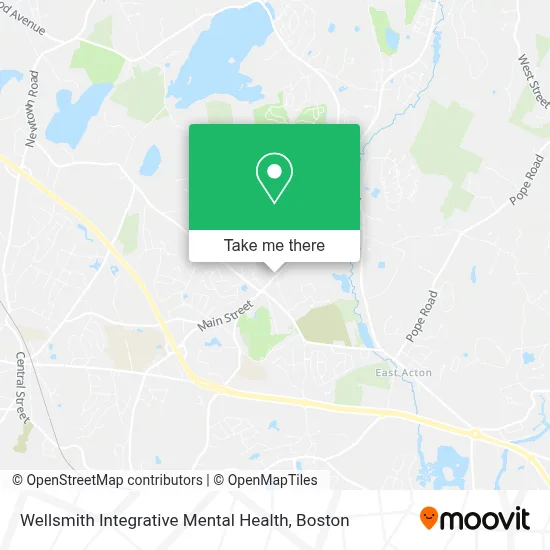 Wellsmith Integrative Mental Health map