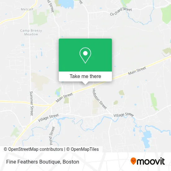 Fine Feathers Boutique map
