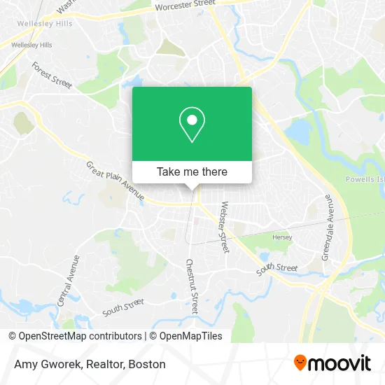 Amy Gworek, Realtor map