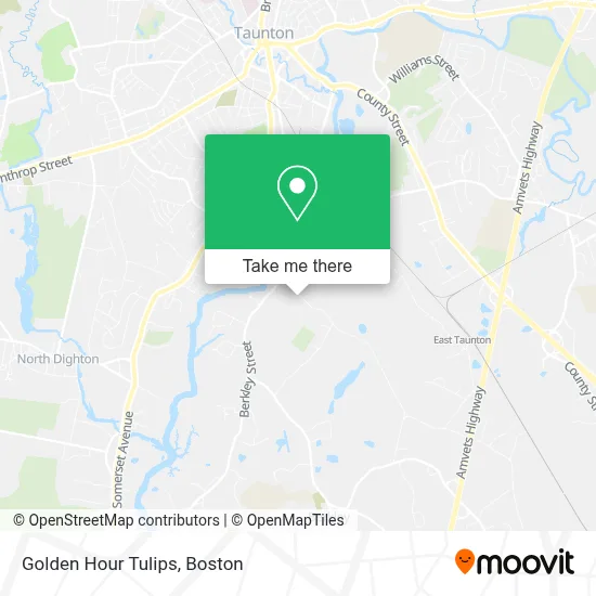 Golden Hour Tulips map
