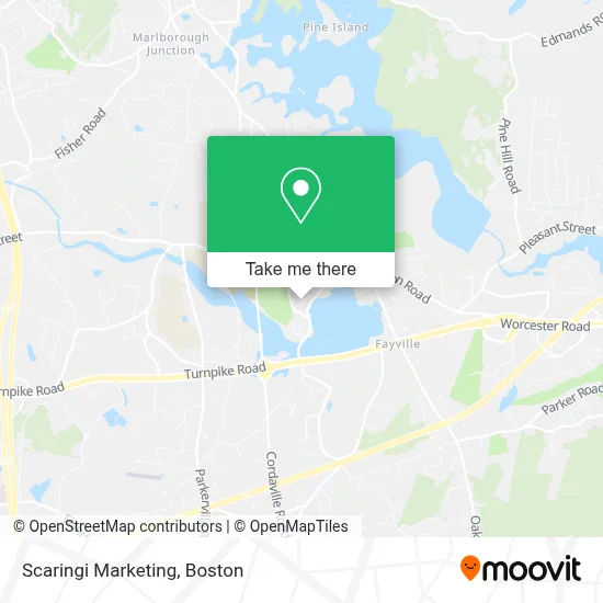 Scaringi Marketing map