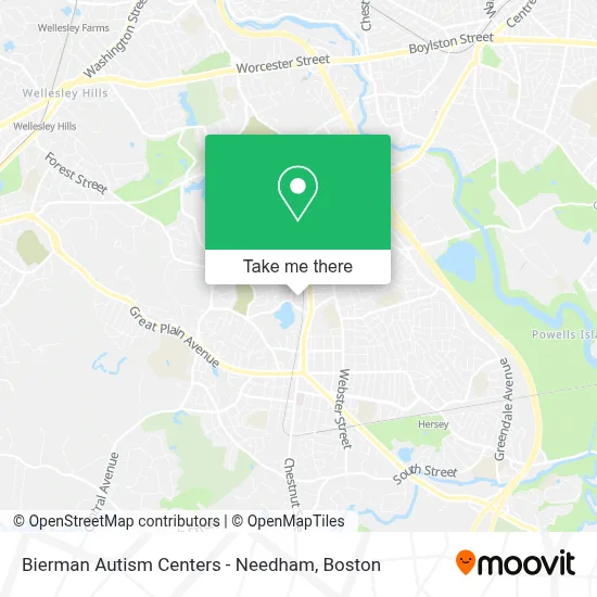 Bierman Autism Centers - Needham map