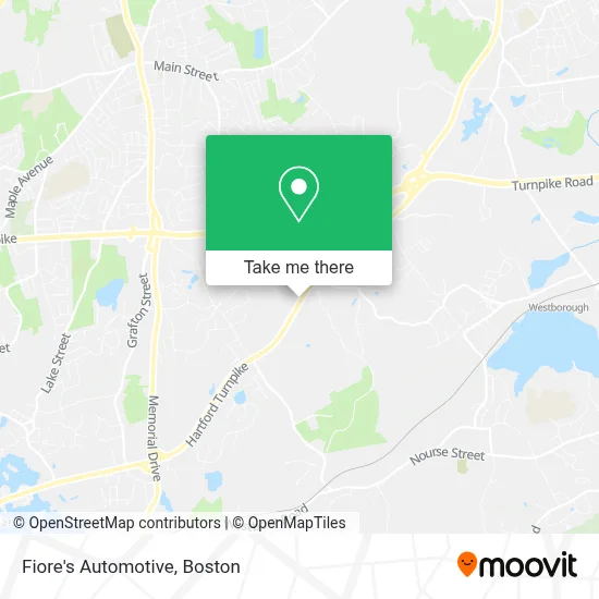 Fiore's Automotive map