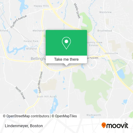 Lindenmeyer map