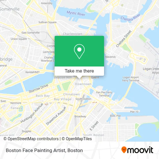 Boston Face Painting Artist map