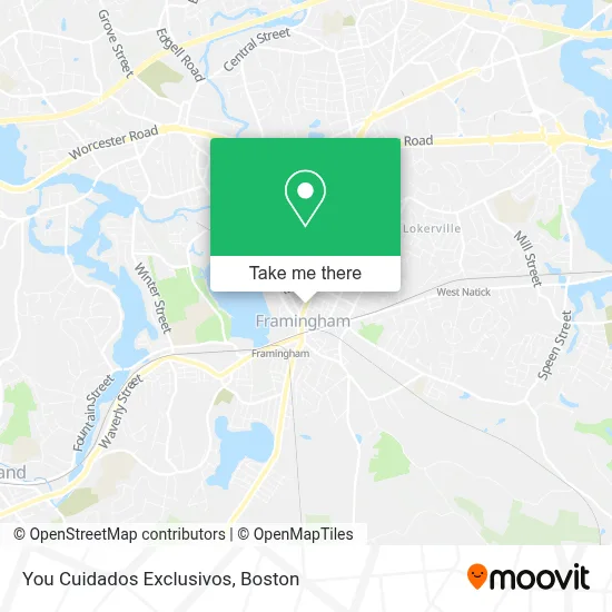 You Cuidados Exclusivos map